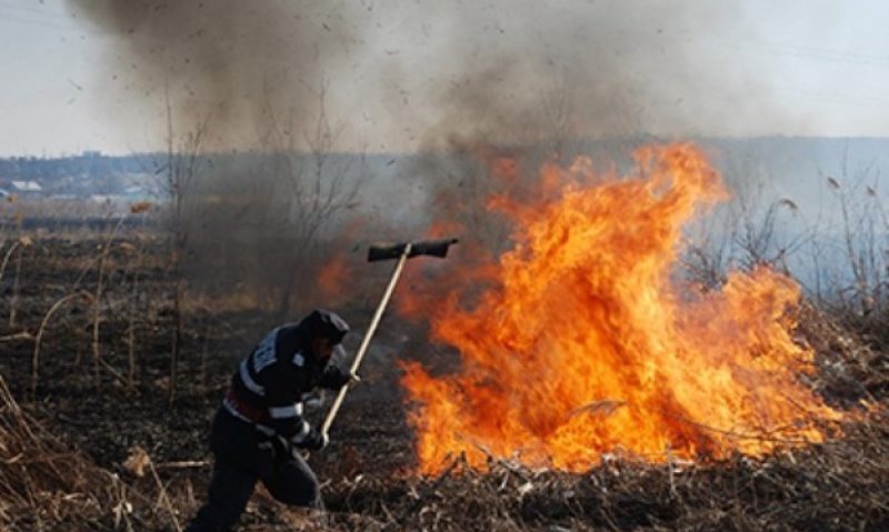 În județul Mureș s-au înregistrat circa 200 de incendii de vegetație, de la începutul acestei luni