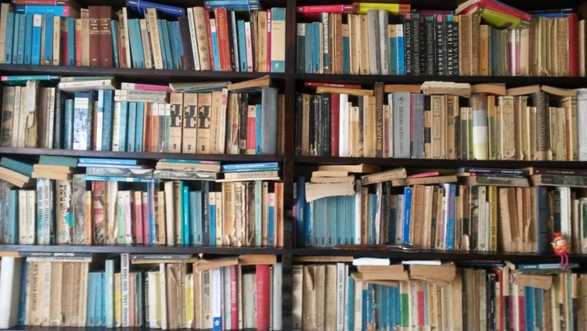 Blog/Nemulțumirile lu’ mama lu’ Bubtzi: Unde-s bibliotecile de altădată?