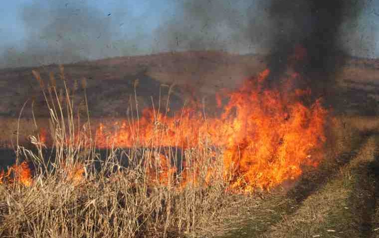 Autorităţile harghitene fac apel la cetăţeni să renunţe la practica folosirii focului pentru curăţarea terenurilor de vegetaţie uscată