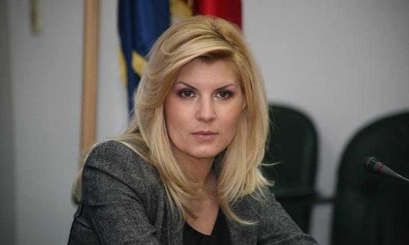 Elena Udrea, la ÎCCJ