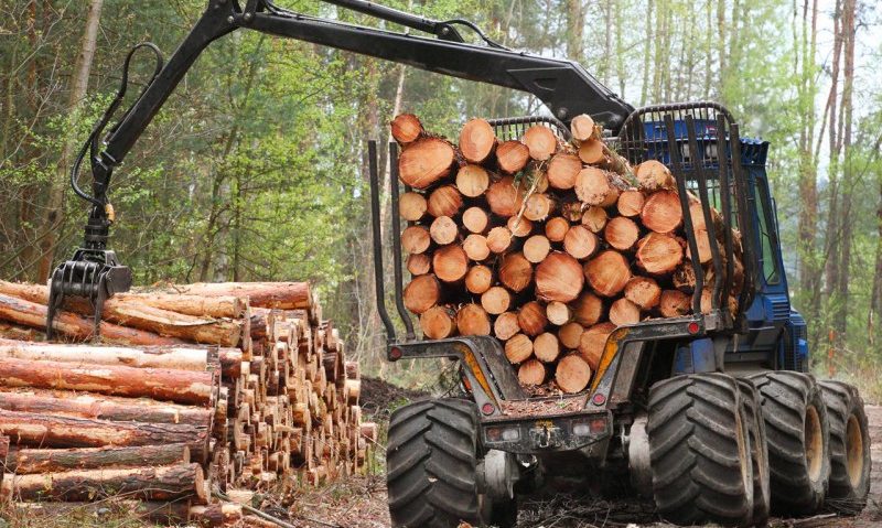 Mai puține tăieri ilegale de lemne in Covasna