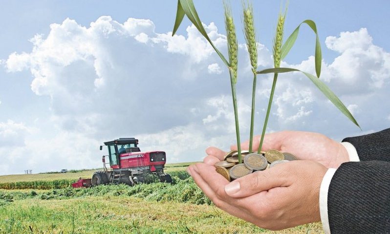 30 noiembrie termenul limită pentru despăgubirile acordate agricultorilor