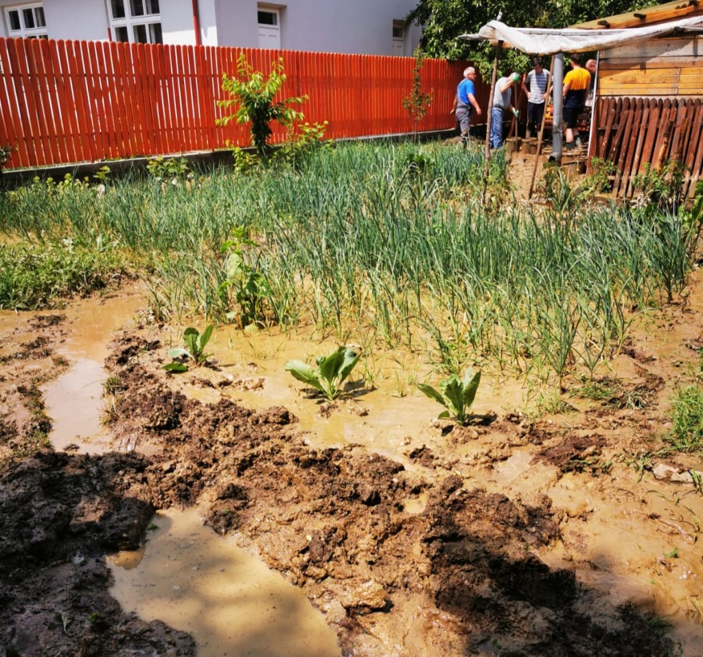 Despre efectele vremii asupra agriculturii