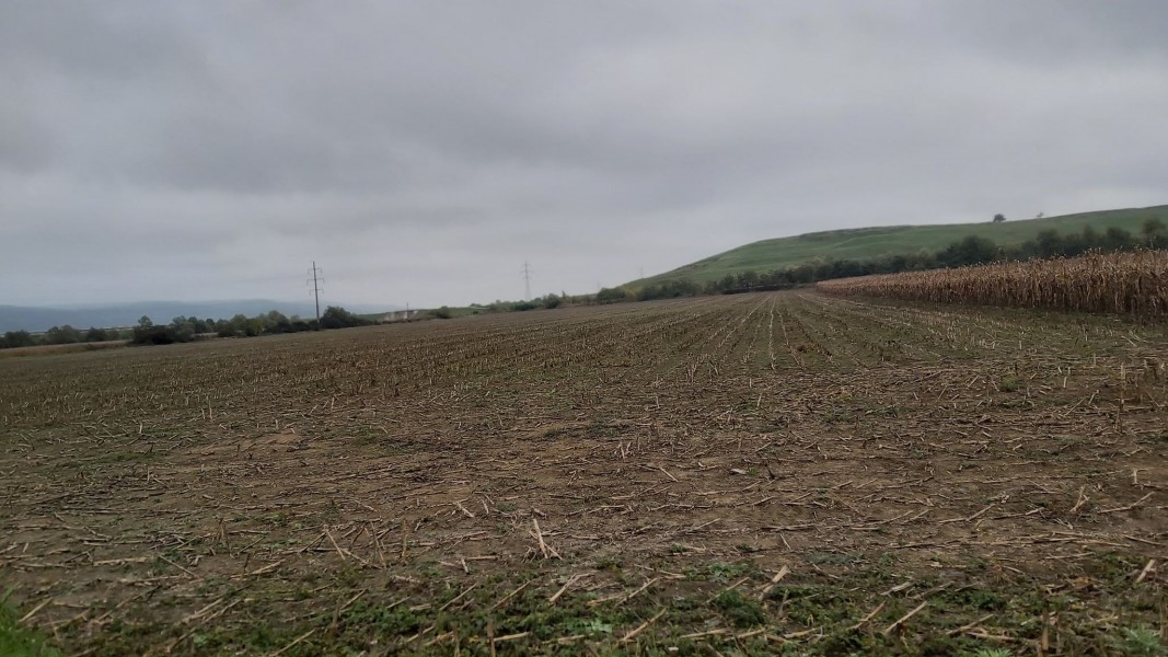 Lucrări agricole specifice toamnei