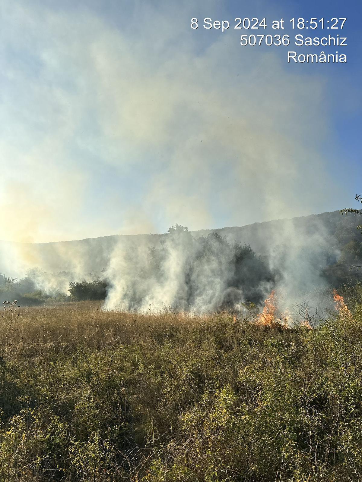 Incendiu de vegetație și fond forestier între localitățile Saschiz și Archita