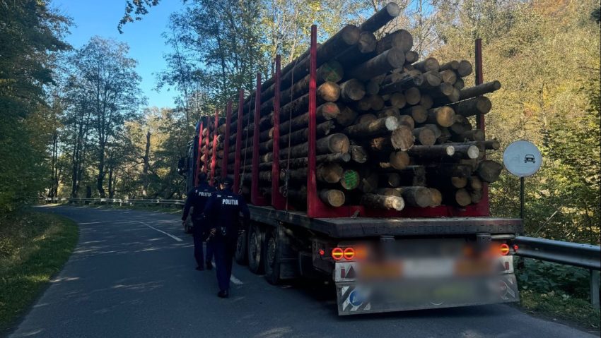 Polițiștii mureșeni au reținut un bărbat din Bistriţa–Năsăud pentru transport ilegal de material lemnos