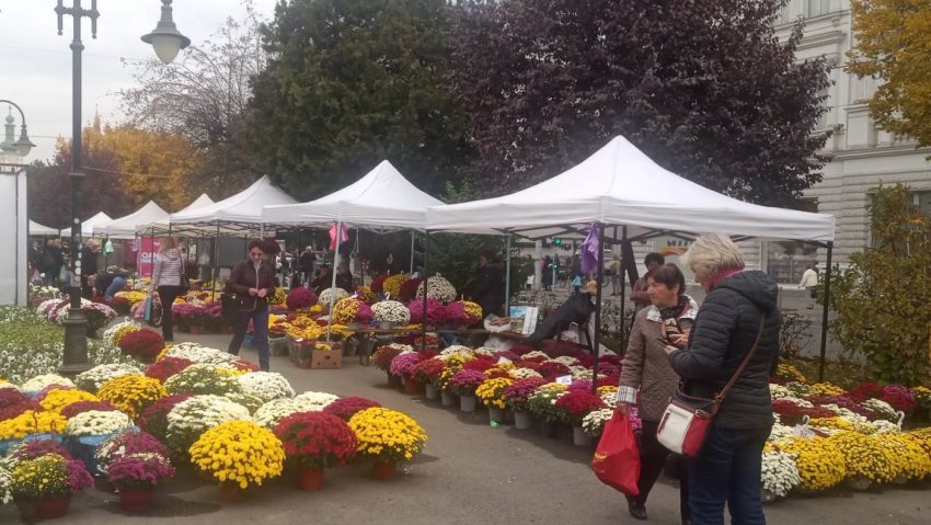 Târg de flori la Tg. Mureș