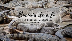 Bucuria de a fi | Pilda regelui și a gropii cu crocodili