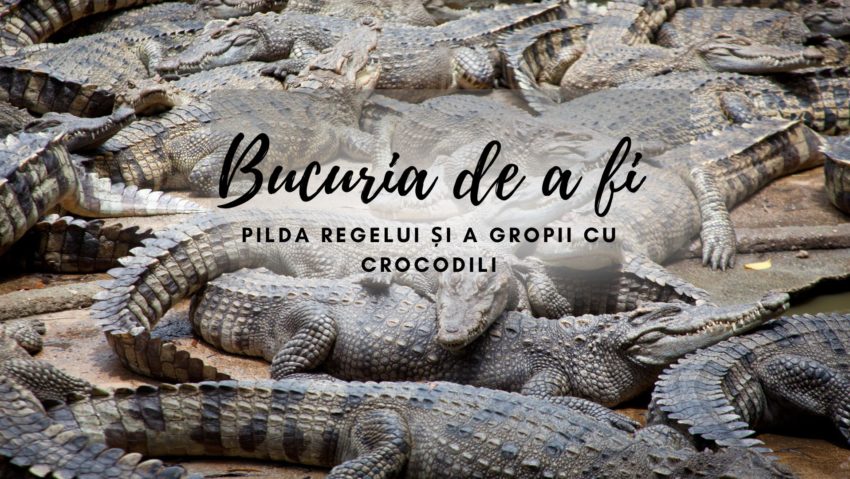 Bucuria de a fi | Pilda regelui și a gropii cu crocodili